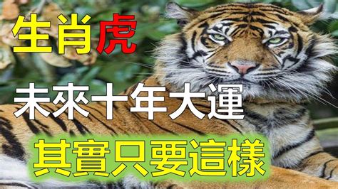 1974生肖2023運勢|1974年屬虎2023年運勢及運程未來十年運氣男